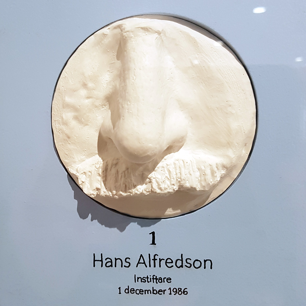 Nose number 1. A cast of Hans Alfredsson’s nose in the Nosoteque in Lund