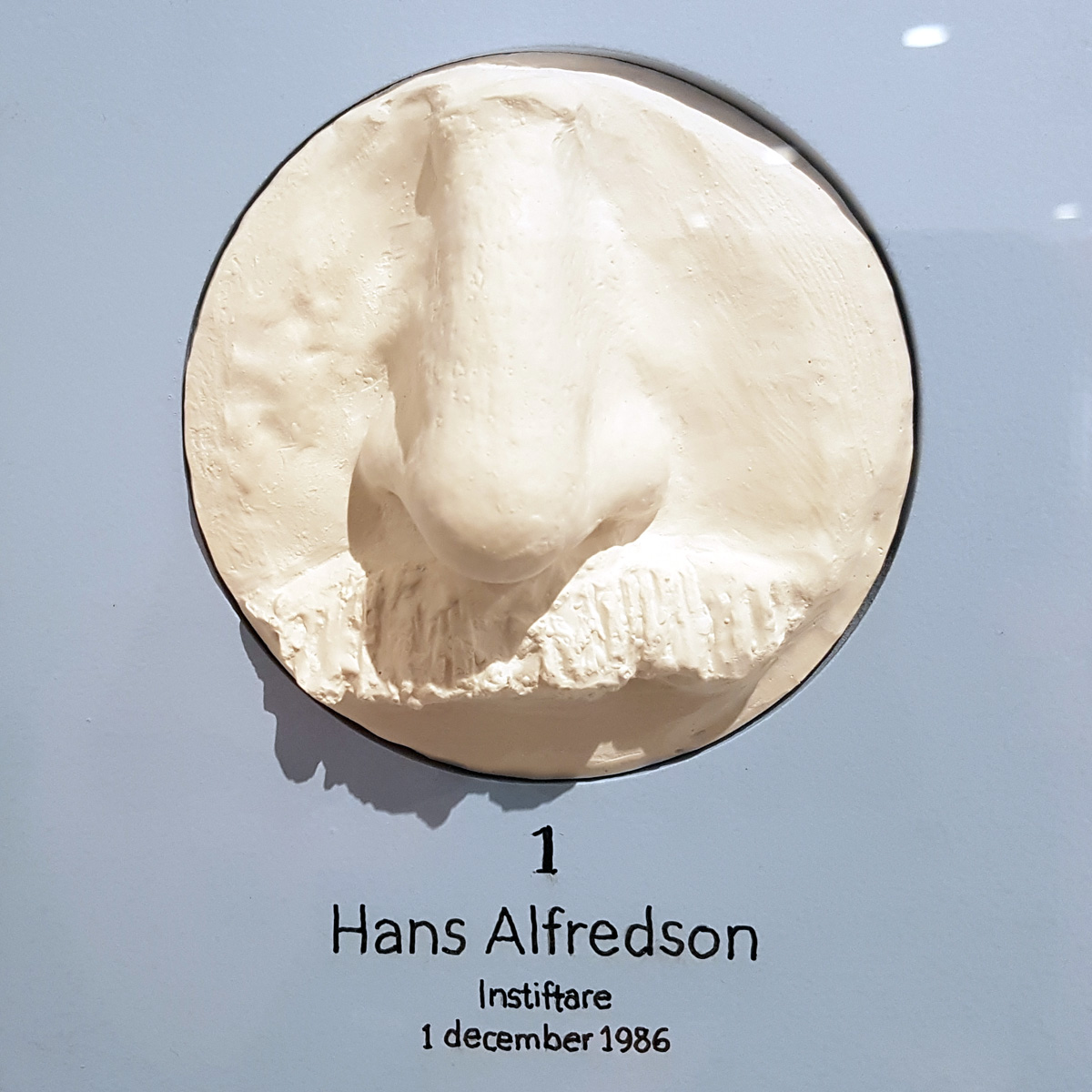 Nose number 1. A cast of Hans Alfredson’s nose in the Nosoteque in Lund