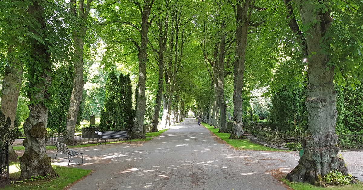 Northern Cemetery in Lund in the summer time