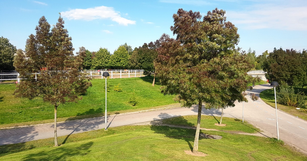 The site where Lund's execution place was located during the 1800s