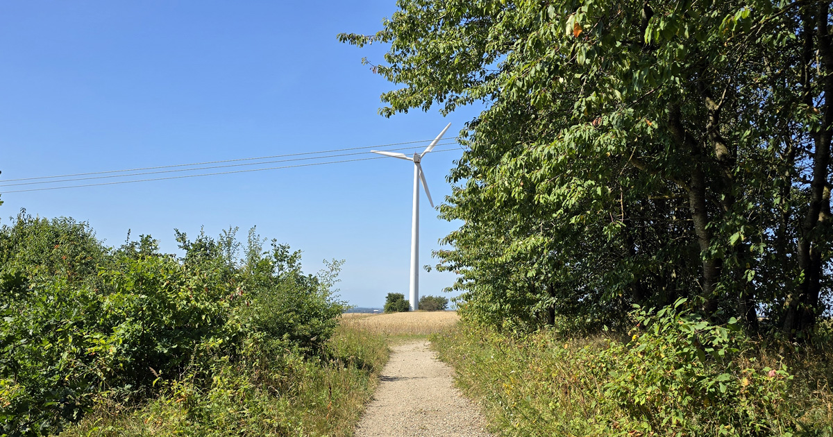 The pathway from Hardeberga church to the hill where Arendala court site probably was