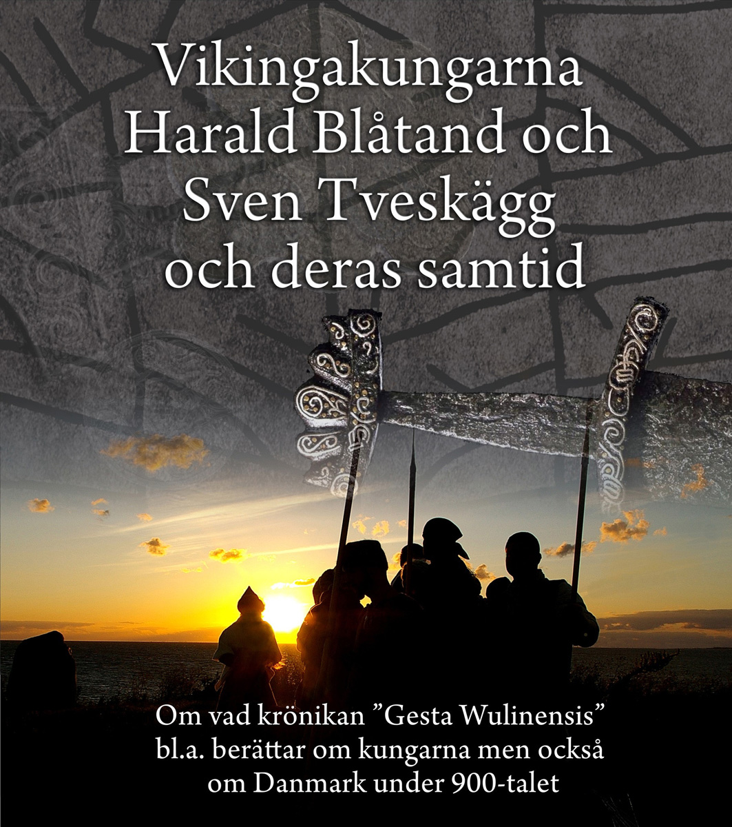 The book 'The Viking kings Harald Bluetooth and Sweyn Forkbeard and their present time